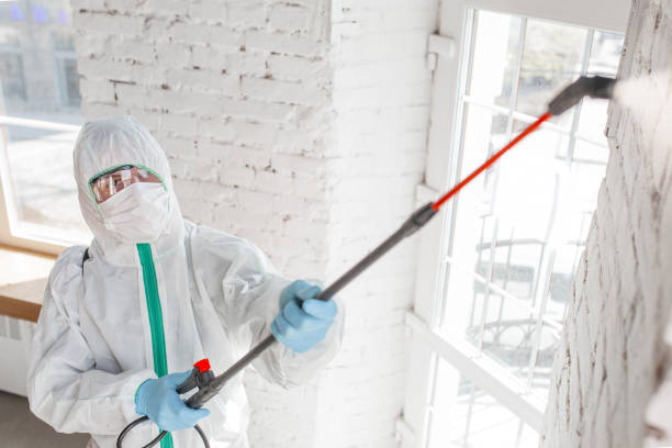 Biohazard Mold Removal in Cayuga, IN