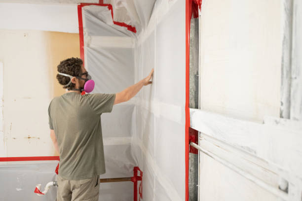 Cayuga, IN Mold Removal Company