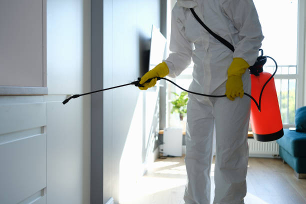 Best Mold Remediation for Vacation Homes  in Cayuga, IN
