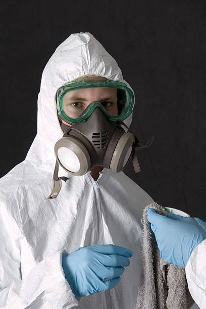 Mold Odor Removal Services in Cayuga, IN